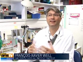 Bactérie : les dangers des graines germées