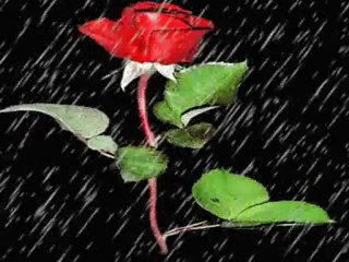 Ahmet Şafak- KaDer KaTiBi  ======>> MaHFuZ