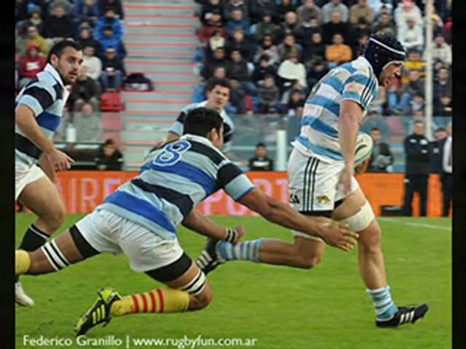 Los pumas versus Barbarians