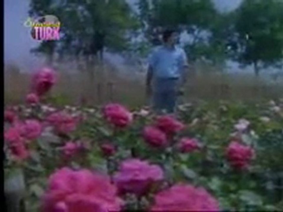 Ferdi Tayfur - Koparma Gülleri ღ♥ღღUNUTULAN ADAMღ♥ღღ