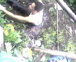 Haha nangangangkong ayan nahulog tuloy.....