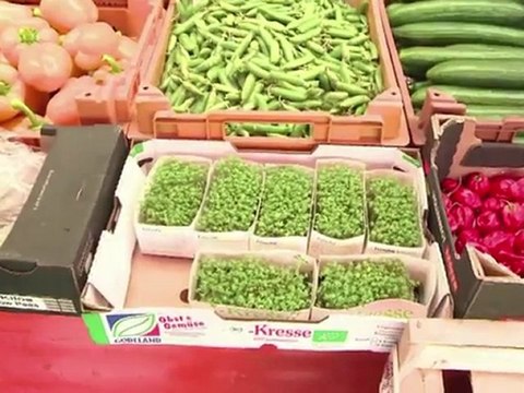 Arabic-Web-Killer bacteria outbreak scares off German consumers