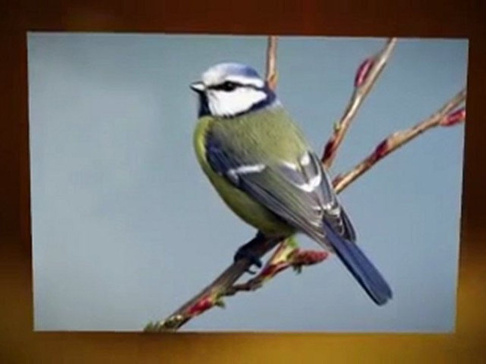 Divorce Lawyers London UK - Divorce Solicitors Central London UK