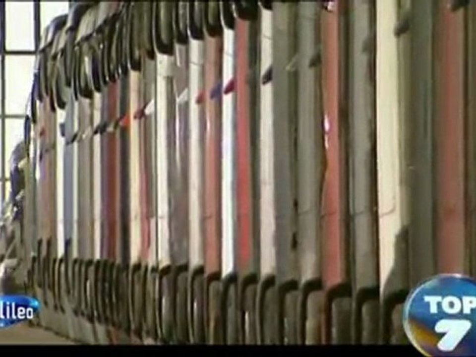 Araba Domino