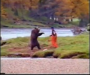 Медведи на рыбалке