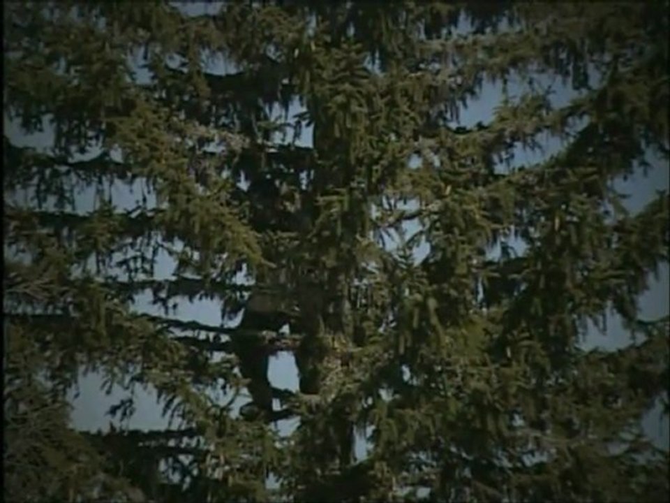 vivre libre ou mourir (4 et fin)