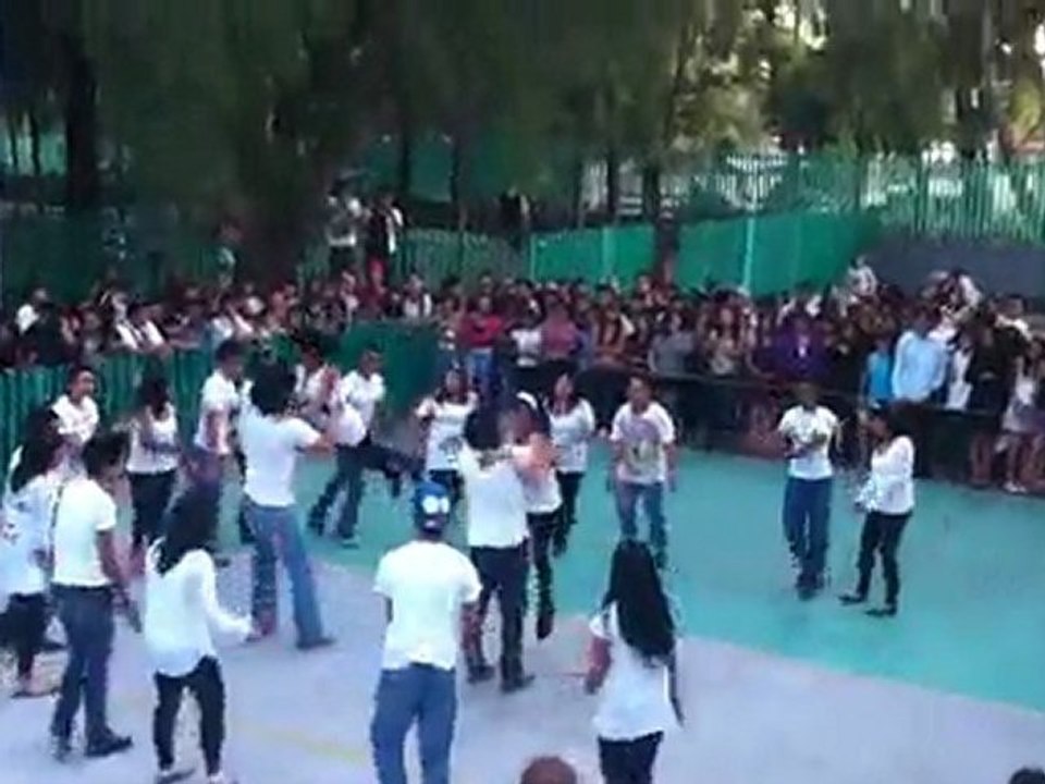 Grupo 6