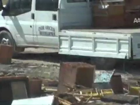 ARILAR PANİK YAŞATTI