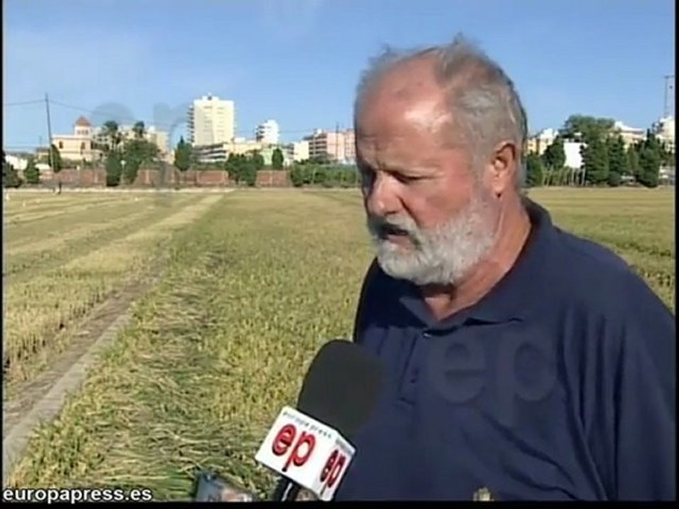 Arroceros piden alternativas para evitar multas