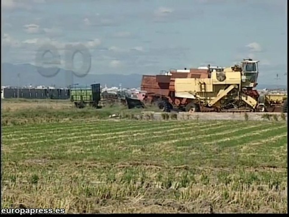 Arroceros contra las multas de tráfico