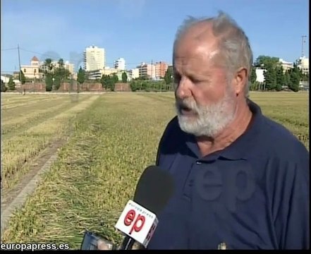 Arroceros piden alternativas para evitar multas