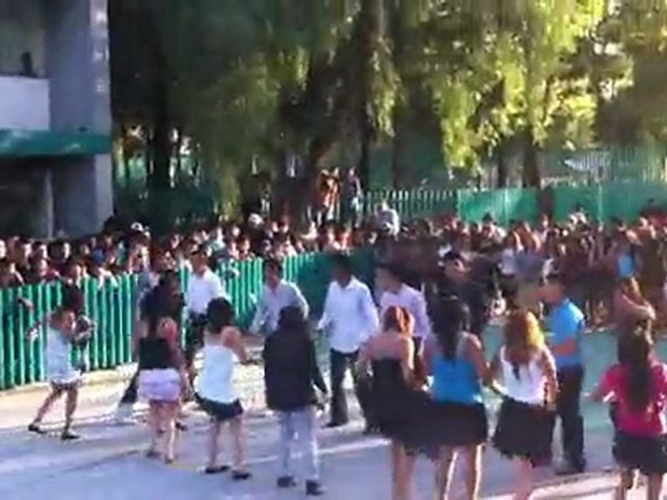 Grupo 9