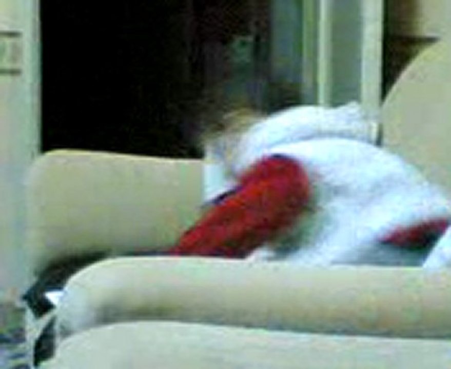Video(017)