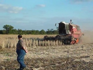 Soja récolte 2011 Argentine Tacañitas (1)