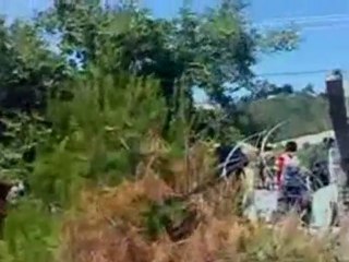 Video shows Syrian troops 'firing' on protesters