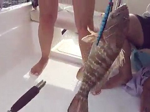 JIGGING TEKNİĞİ İLE LAGOS AVI (KUM GRİDASI) - adrasanbalik.com