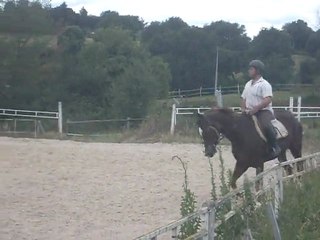 ragtim HARAS D'AUROIS 1