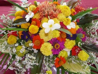 Fleurs format paysage LAOS