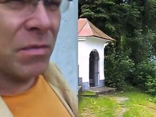 the last unicorn & the magic tree