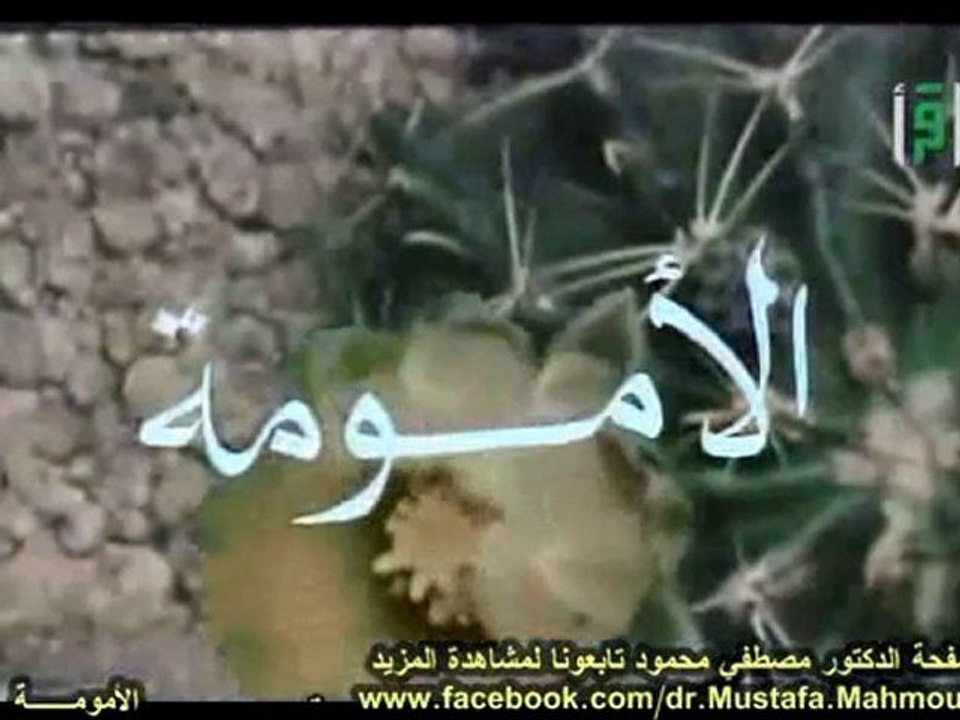 الأمومة | حلقات العلم والإيمان