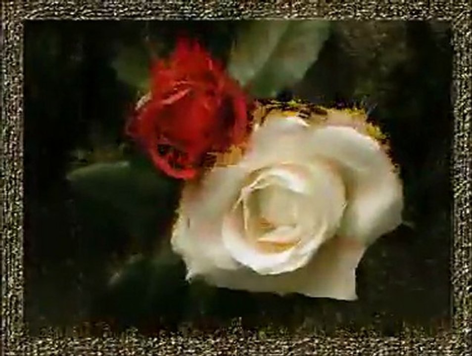 PATLAMAYA HAZIR BOMBA GİBİYİM-AYDOĞAN TAYFUR   ღ♥ღღUNUTULAN ADAMღ♥ღღ