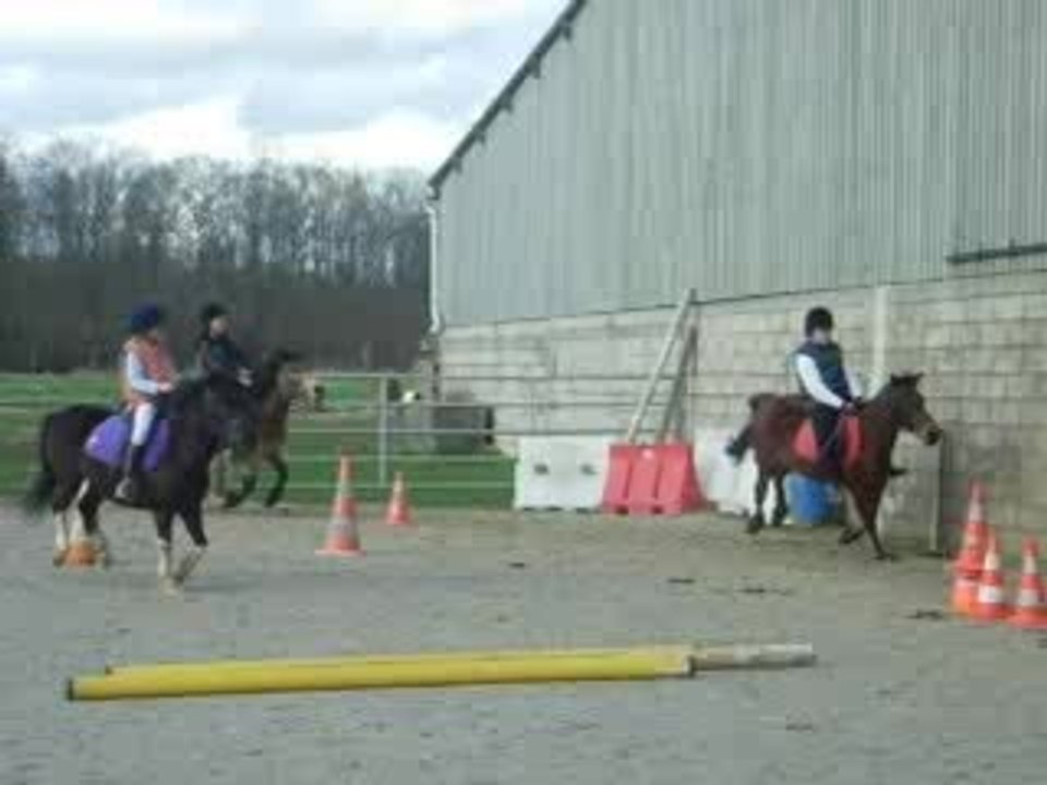 Galop avec Pompon
