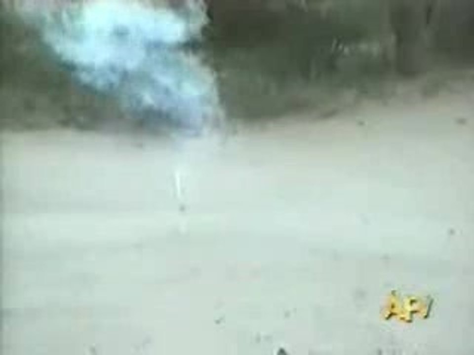 Non Rex raporte pas le bâton