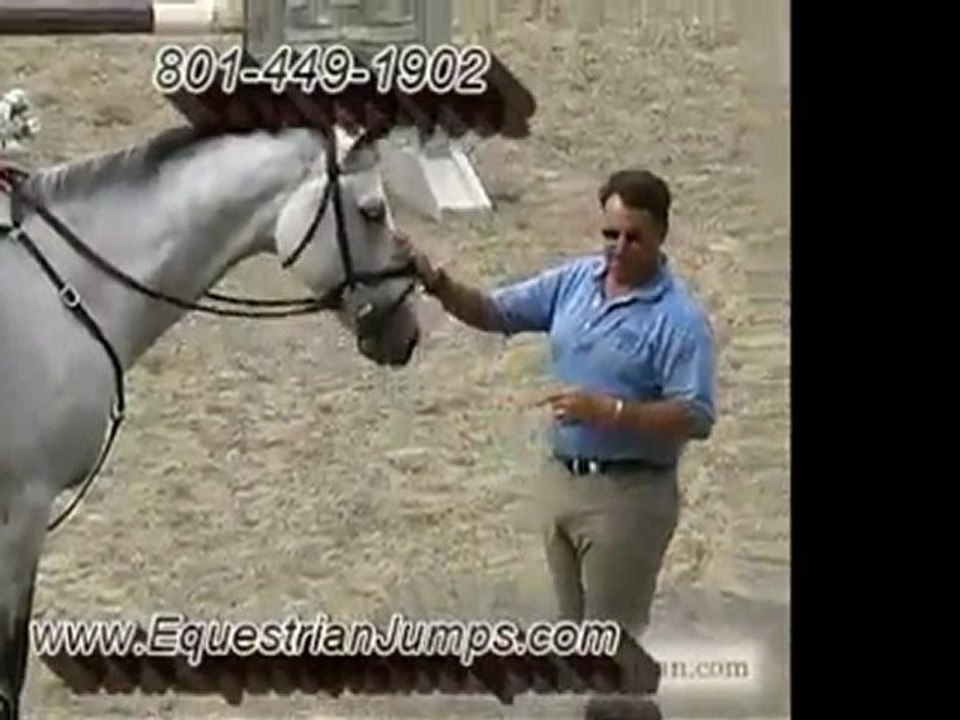 Horse Jumps - Horse Jumps Pro Tips David O'Conner