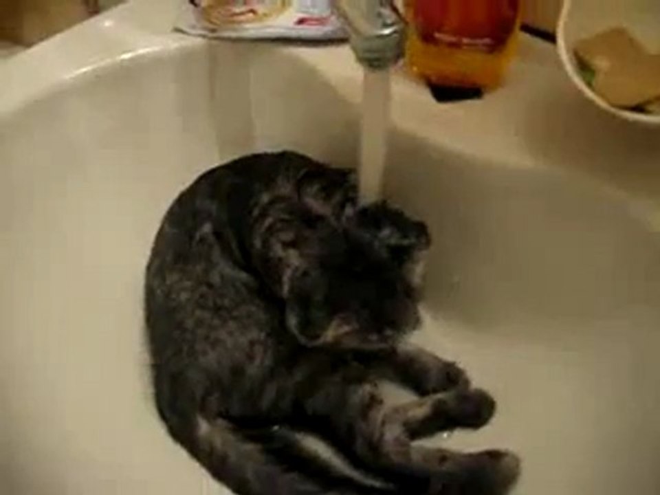un bon brin de toilette