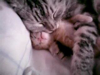 Un moment de douceur