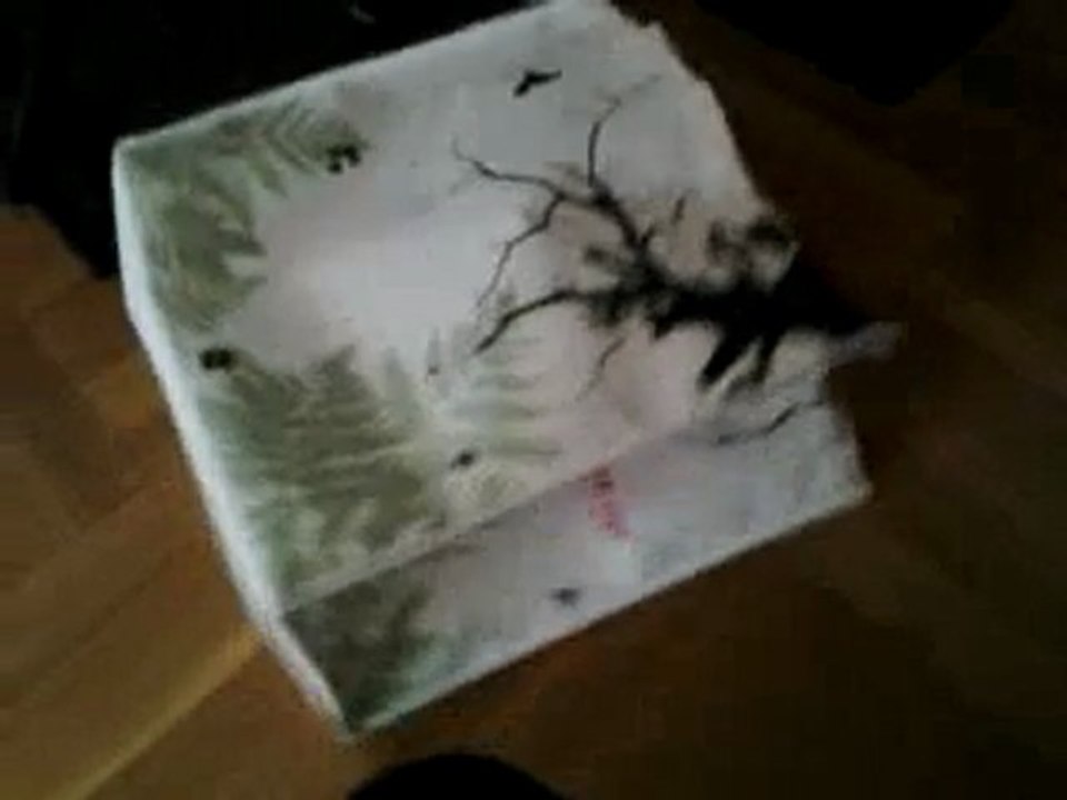 Elsa busar i matkassen