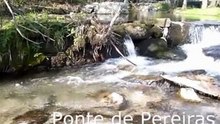 Documentário "Um olhar sobre o Rio Leça"