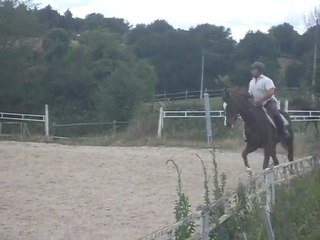 ragtim HARAS D'AUROIS 2