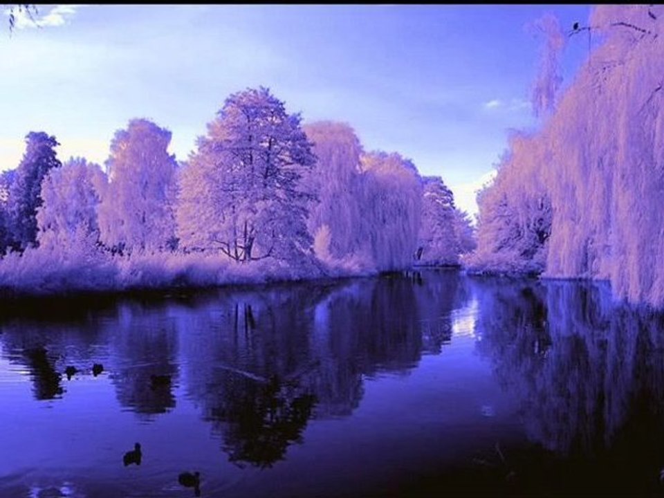 ❦Lakeside❦