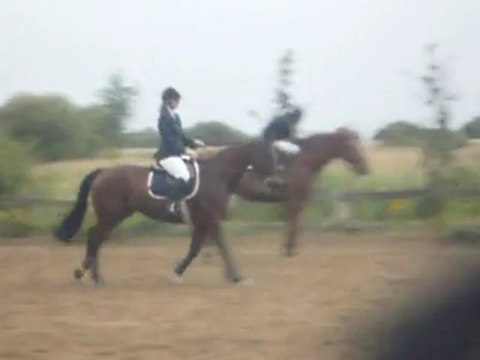 oxer paddock Simoun 12 juillet 2011