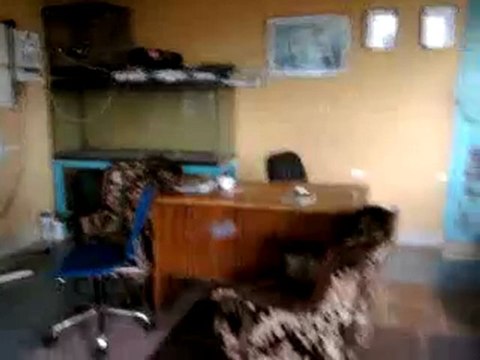 HAZER EMLAK TEL: 0546 851 6657 KANDIRA SATILIK TAVUK ÇİFTLİGİ