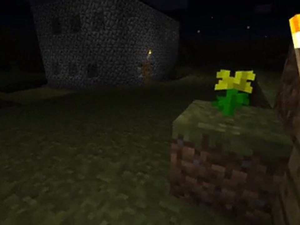 video detente sur minecraft