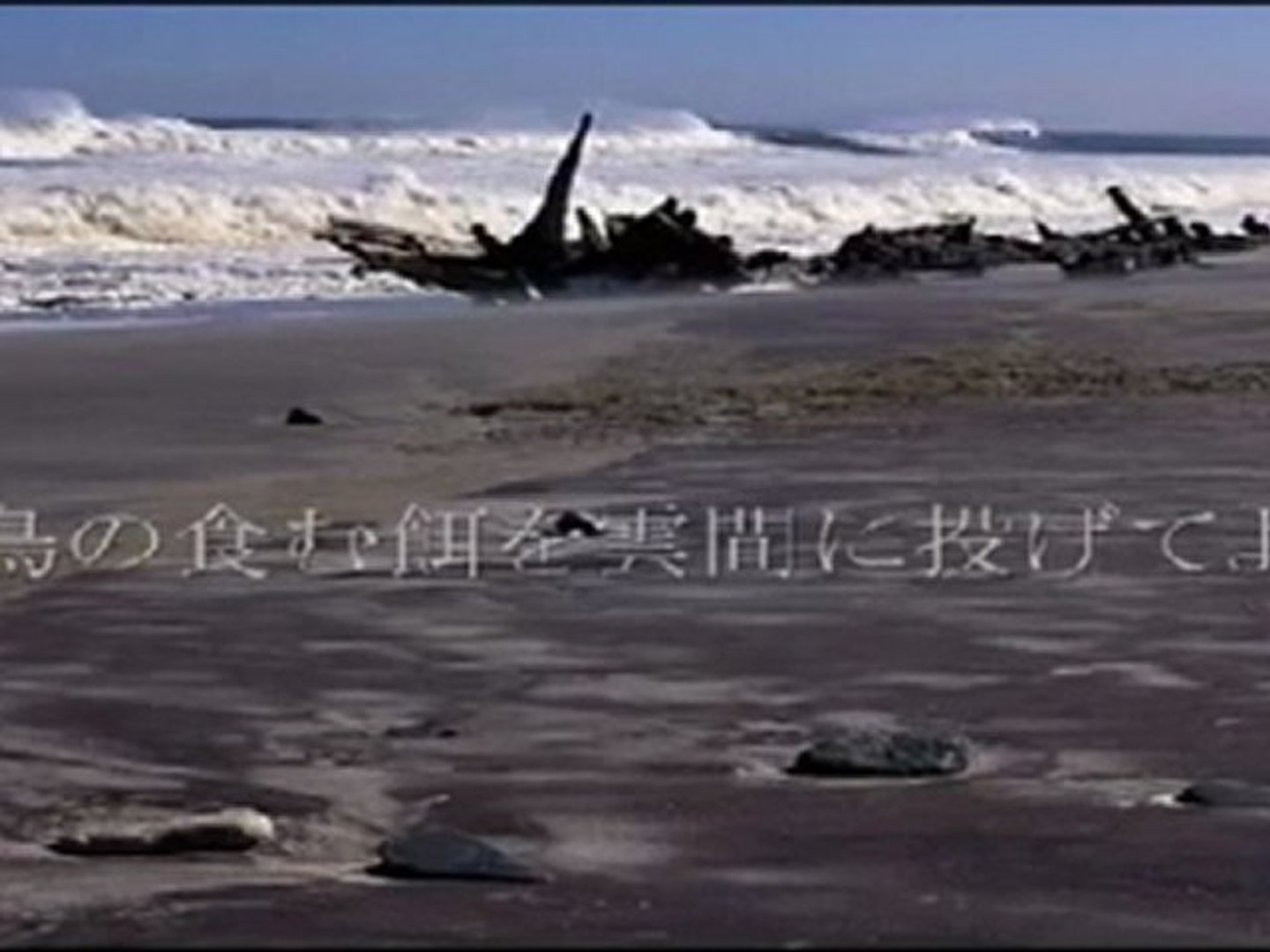 Susumu Hirasawa X P Model Skeleton Coast Park 平沢 進 スケルトン コースト パーク 動画 Dailymotion