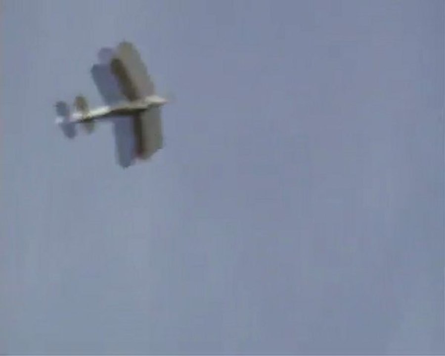 Stampe