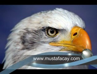 Bir Kartalın Yeniden Doğuşu