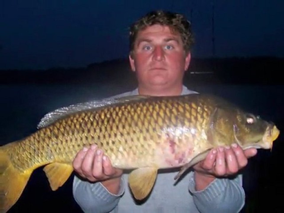 Le CarpTrio37 bis