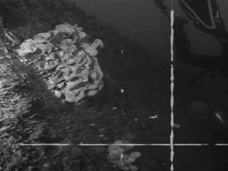 Epaves entre Brest et Ouessant