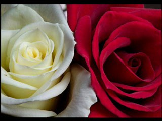 Sinan ÖZEN İsyanım var KADERE   ღ♥ღღUNUTULAN ADAMღ♥ღღ