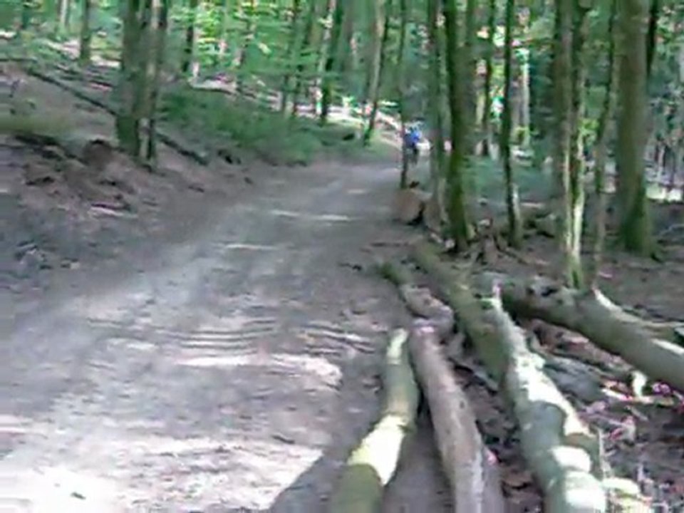 ballade dans les bois