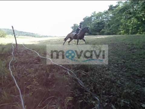 galop dans les champs