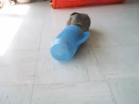 La plus grosse cruche du monde!!!