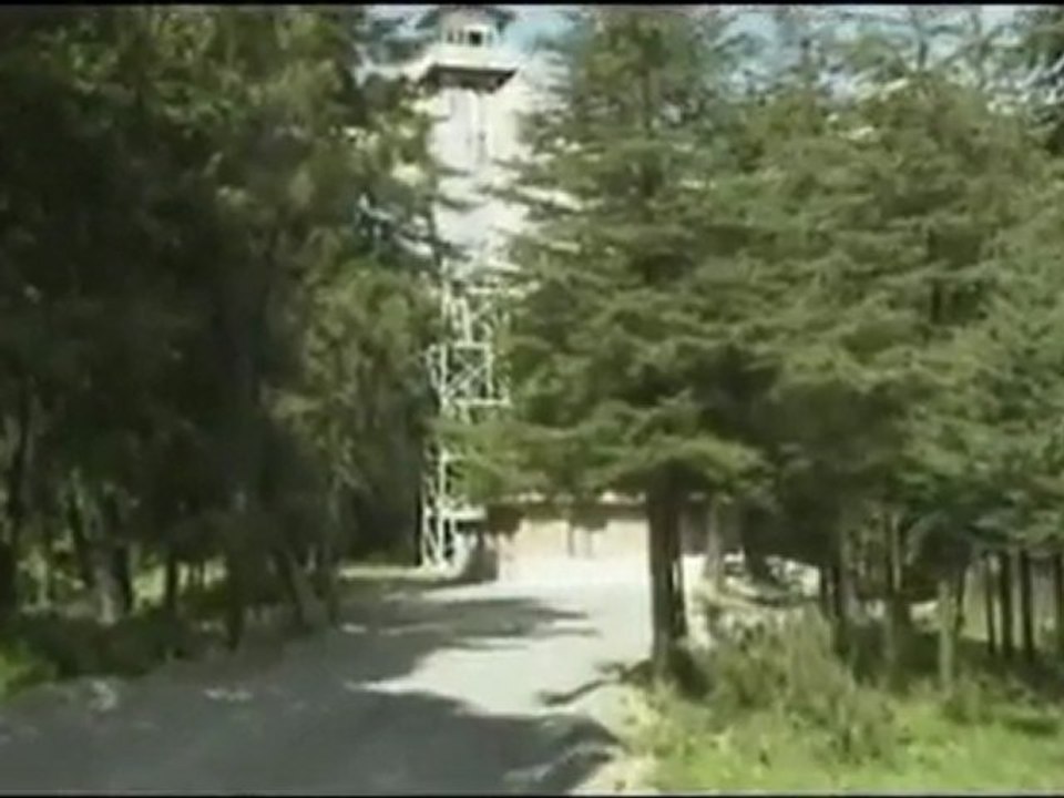 Nilüfer örer - mevsim bahar Official