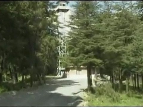 Nilüfer örer - mevsim bahar Official