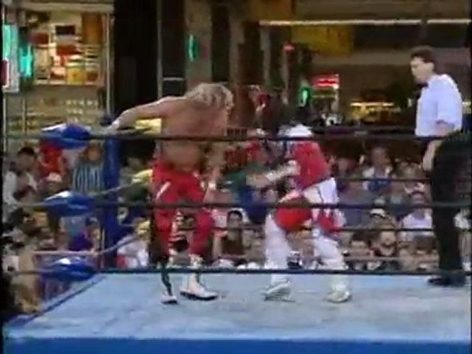 Jushin "Thunder" Liger vs Flyin' Bryan