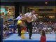 Hulk Hogan vs Big Bubba